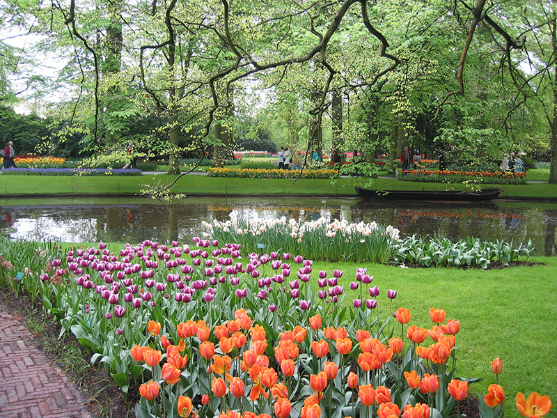 春遊荷蘭　在地人獨家推薦世界最美花田祕境！