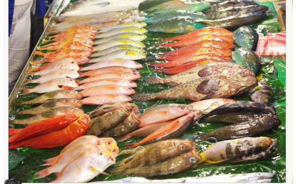 台灣生活史：被誤解的季節魚