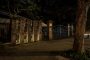 台北植物園植光步道，享受一個月光椰影的美好夜晚!