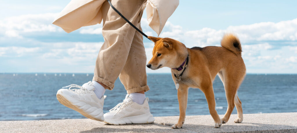 不是早起或跑步才叫健康！找到屬於自己的最佳生活節奏，讓每一天更穩定