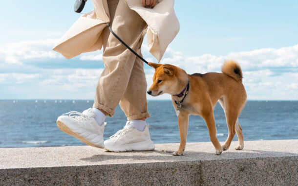 不是早起或跑步才叫健康！找到屬於自己的最佳生活節奏，讓每一天更穩定