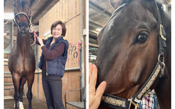 馬年行大運，一次與馬的相遇，開啟溫柔又吉祥的一年