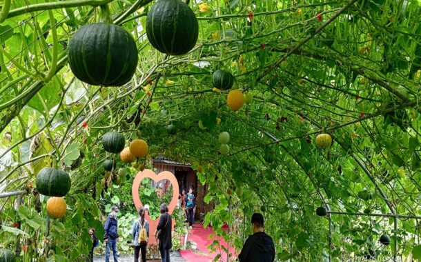 照顧友善旅遊｜熟齡團怎麼跟？主動問、說需求，5件事安心出發