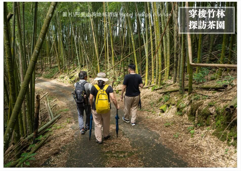 安可人'生 照顧友善旅遊